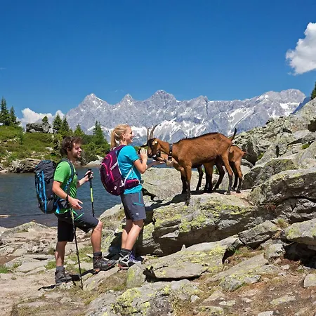 In Mit Terrasse Und Garten *